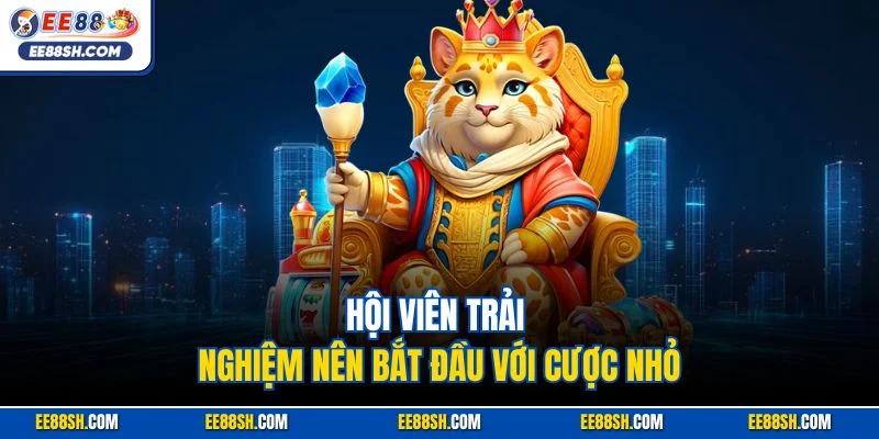 Hội viên trải nghiệm nên bắt đầu với cược nhỏ